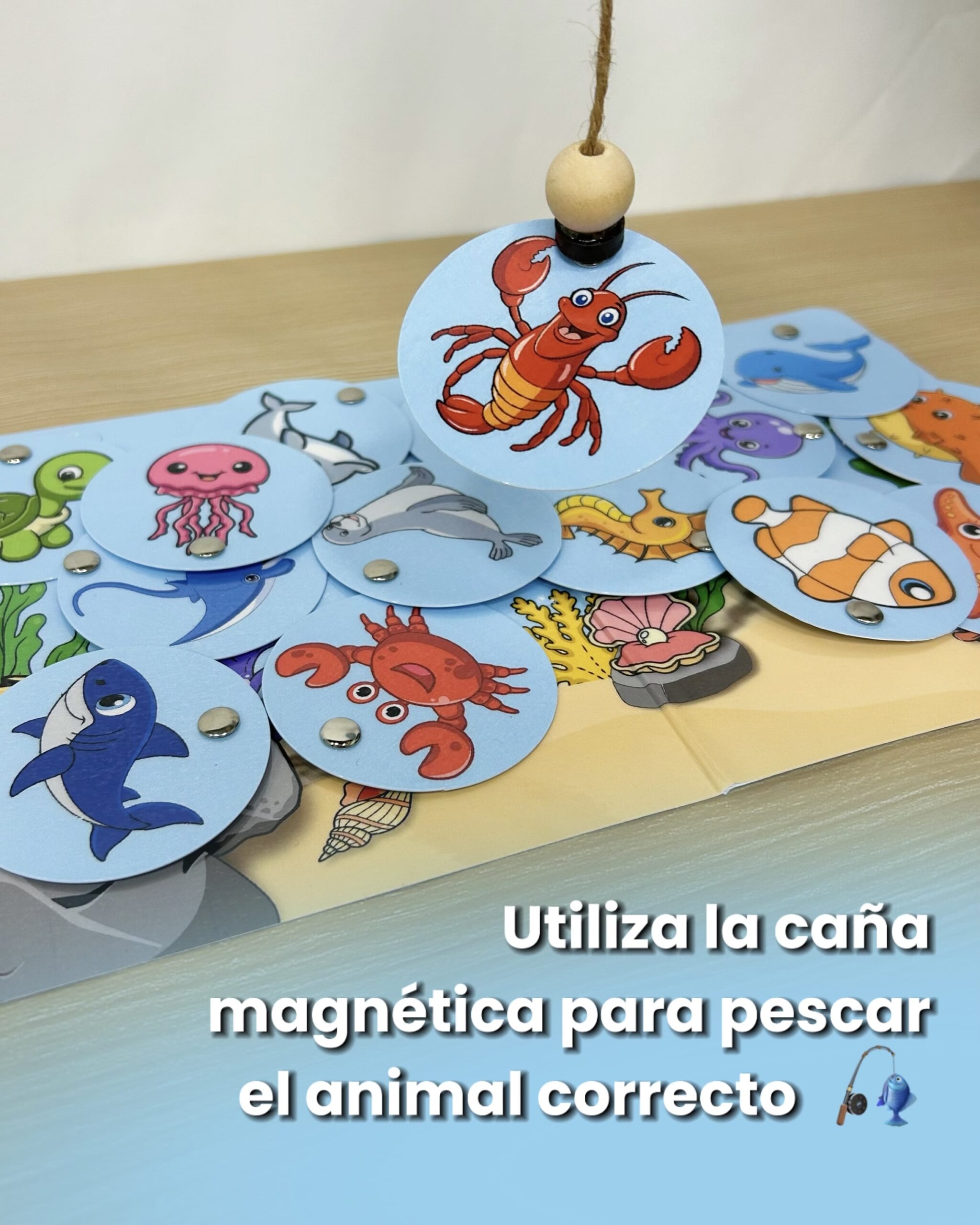 Caña de pescar magnética atrapando una pieza redonda de una langosta sobre un tablero ilustrado con animales marinos y el texto utiliza la caña magnética para pescar el animal correcto.