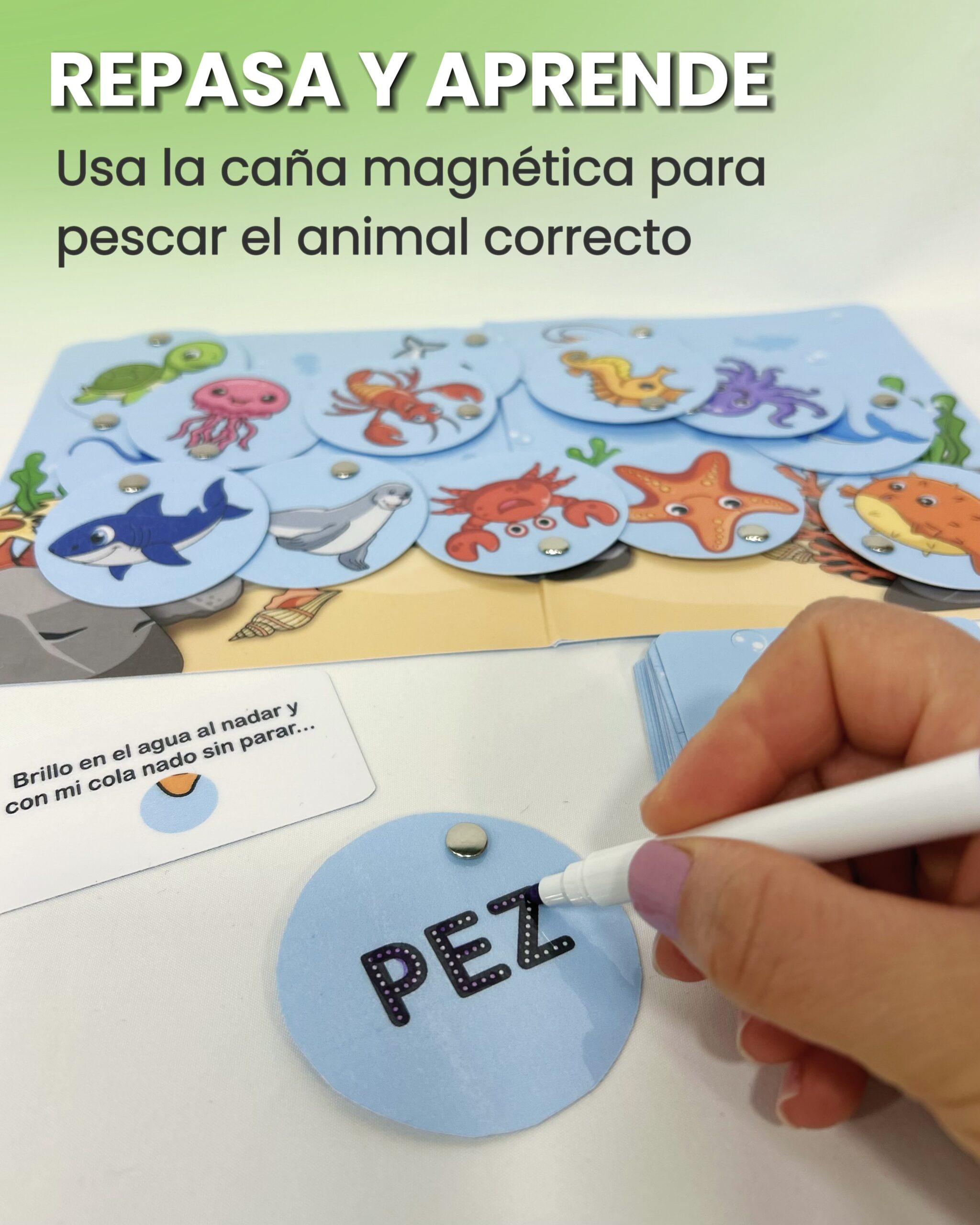 Mano utilizando un marcador borrable para repasar las letras de la palabra Pez en una ficha circular del juego didáctico Pescaletras.